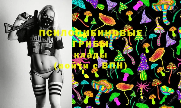 молекула духа Бронницы