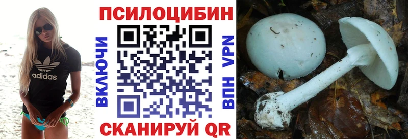 Галлюциногенные грибы мицелий Жуковский