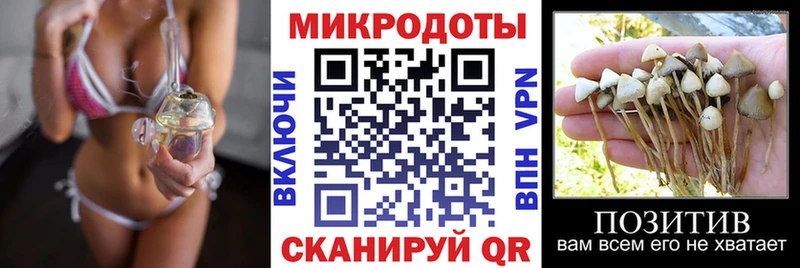 мега онион  Жуковский  Псилоцибиновые грибы ЛСД 